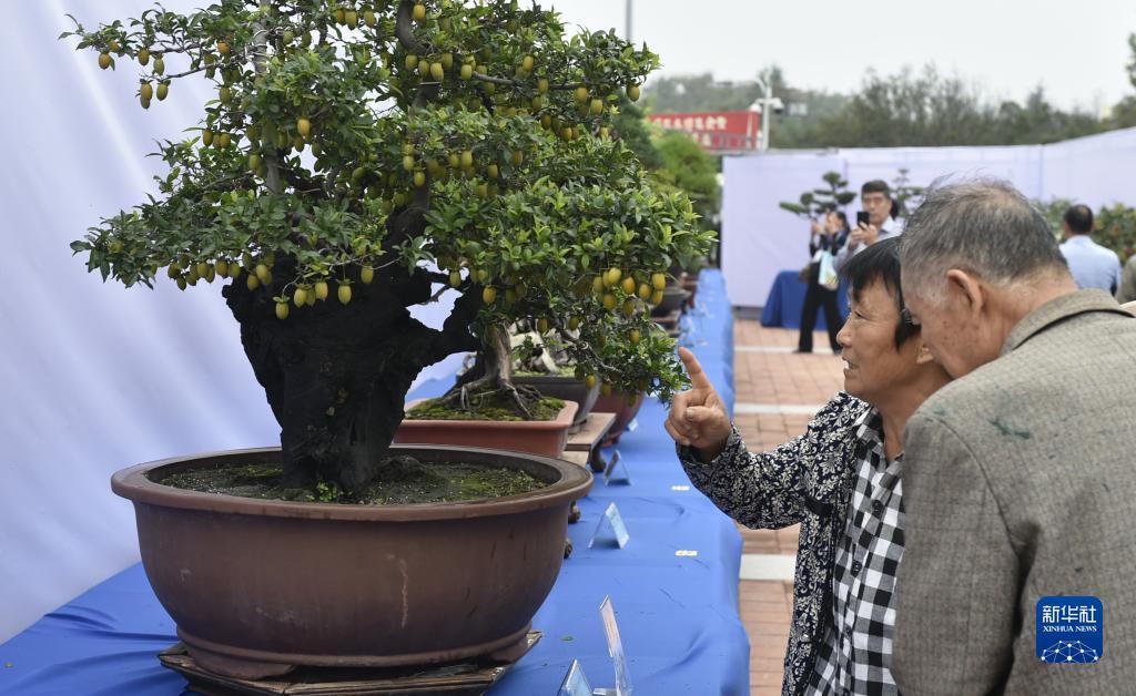 捕鱼世界